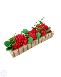 Window Box with Geraniums