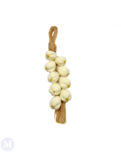 MCF1572C - String of Garlic