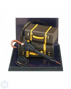 RP17487 - Gentleman's Luggage Set