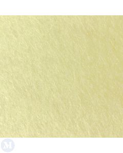 Natural Light Cream Soft Cream Carpet (CAXN01)