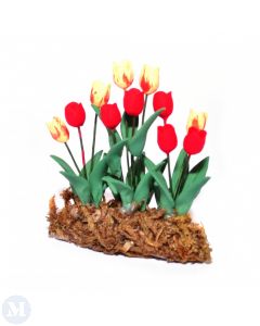 D4132 - Bed of Tulips