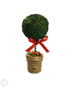 Plant with Ribbon (D7022)