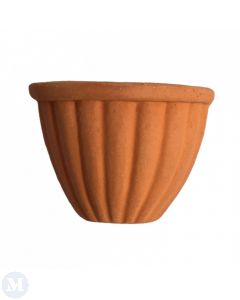 CP016 - Shell Wall Planter