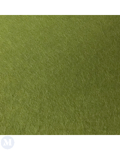 Olive Green Carpet Or Lawn