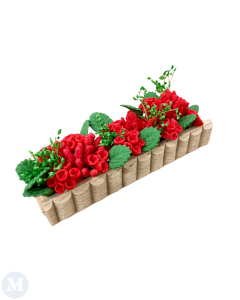 Window Box with Geraniums