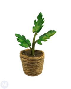 Plant In Rope Pot