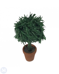 Plant In Pot (Discontinued)