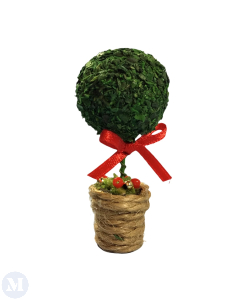 Plant with Ribbon