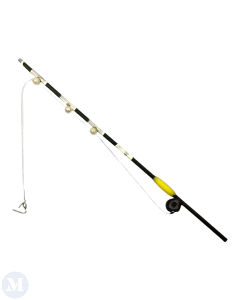 Fishing Rod