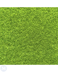Grass Lawn
