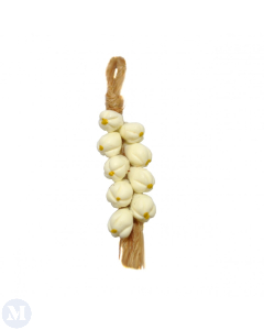 MCF1572C - String of Garlic