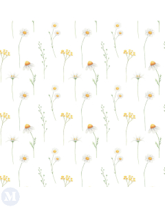 Yellow Daisy Flower