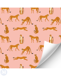 Cheetah Print Wallpaper (Discontinued)
